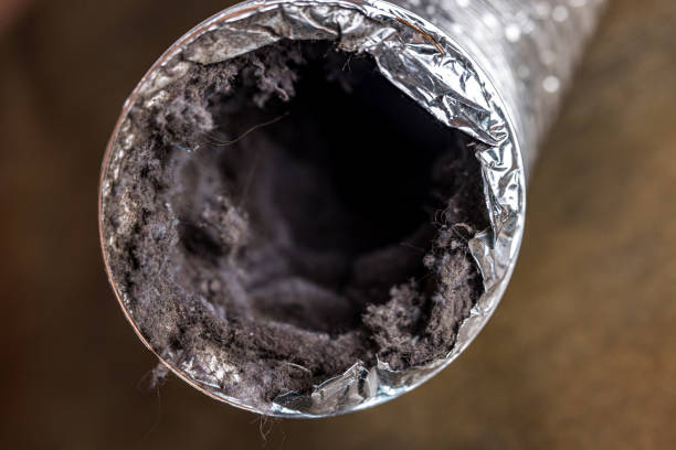 Best Ductwork Cleaning Services  in Emmaus, PA