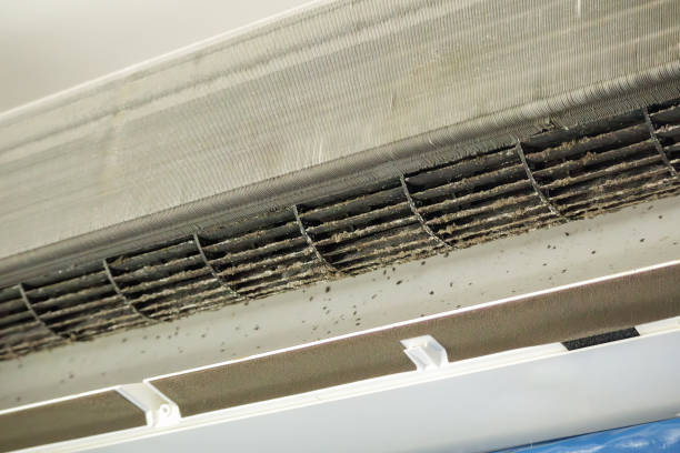 Best Affordable Air Duct Cleaning  in Emmaus, PA