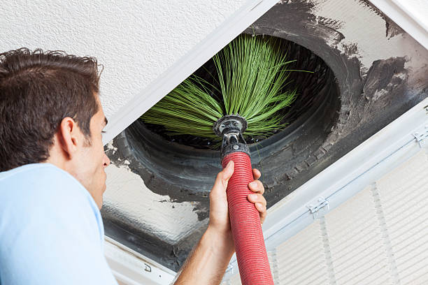 Best Air Duct Mold Removal  in Emmaus, PA